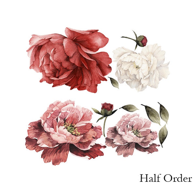Large Flower Wall Mural | Peel and Stick Wallpaper | Self Adhesive Wall Mural | Removable Wall Paper | Girls Room Decal | Peony Wallpaper Half Order