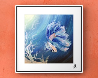 Swimming Betta