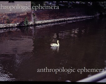 Swan at the Museum, East Berlin, GDR, 4000 dpi, print up to 16" x 20", 1980's Pre-unification Germany Scene, Kodachrome Photo Slide Download