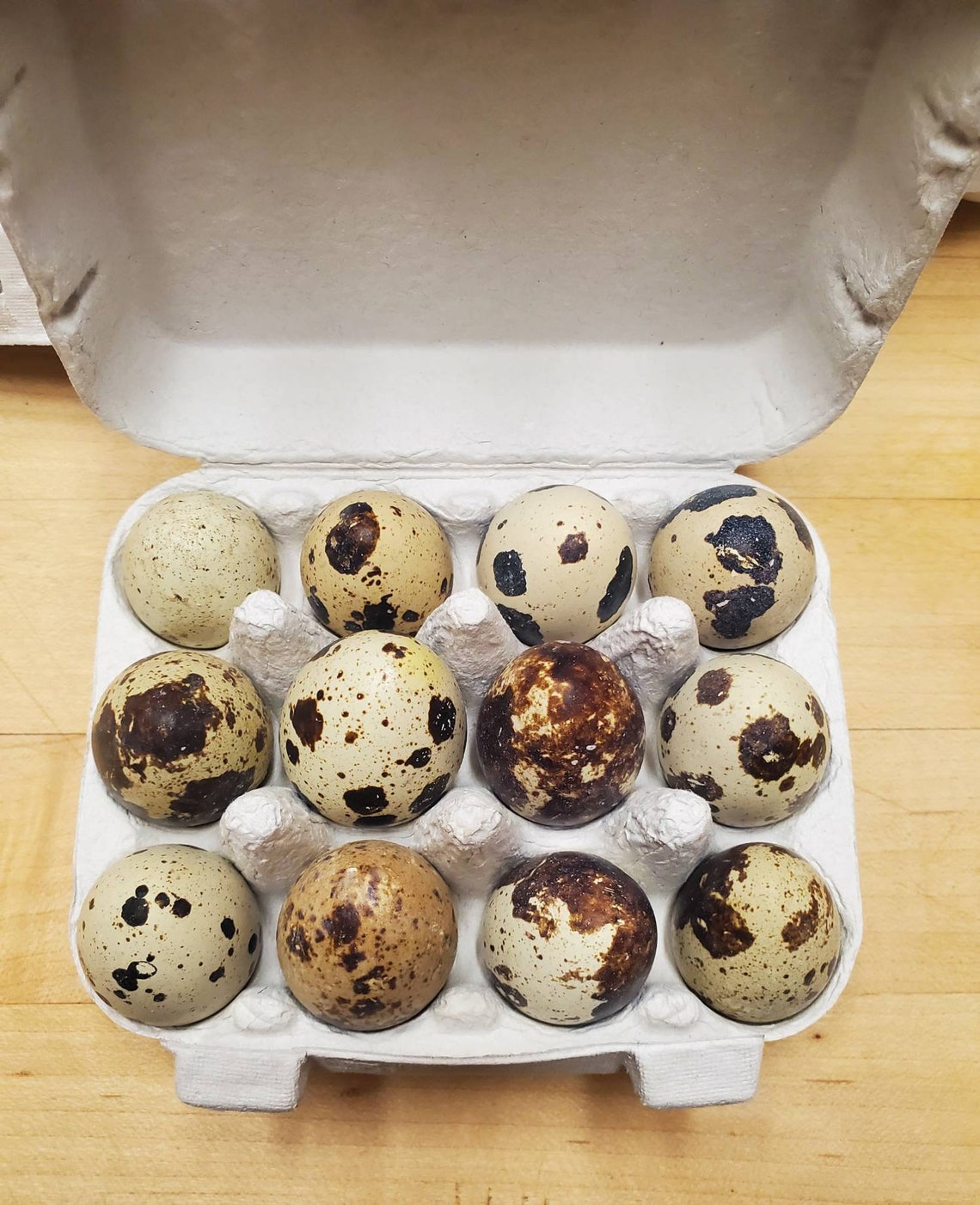 Organic Quail Eggs 1 Dozen Registered Organic in CA Etsy