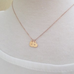 Puede incluir: Un collar de oro rosa con dos peque&ntilde;os colgantes en forma de coraz&oacute;n. Los colgantes est&aacute;n grabados con las letras "K" y "R".