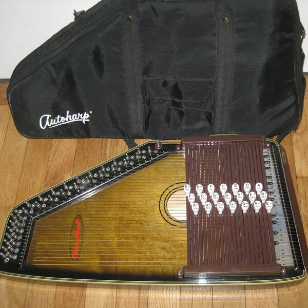 Autoharp 21 Chords Etsy