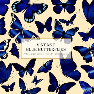 vintage Blue Butterflies, vintage Butterfly Clipart, Antique Butterfly Illustrations PNG graphics, Scrapbook Embellishments Commercial Use