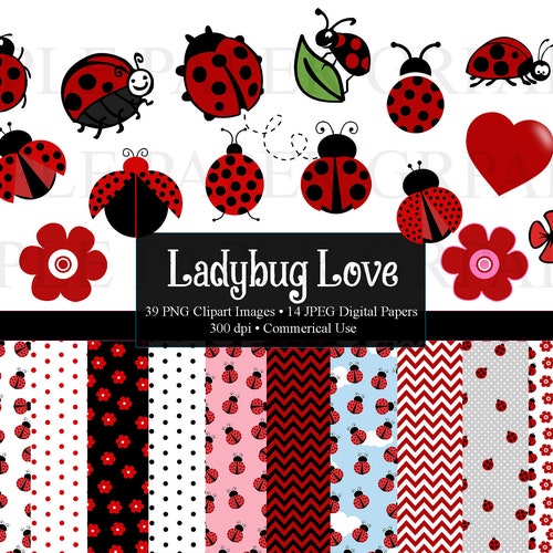 Ladybug Clipart and Digital Paper Backgrounds and Overlays - Etsy