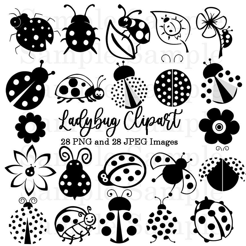 Ladybug Black and White Silhouette Clipart, Birthday, Invitations Clip Art, Digital Download, PNG JPEG Images, Lady Bug Commerical Use