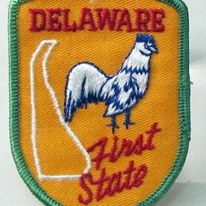 DELAWARE STATE jacka eller skjortmärke. broderat tyg
