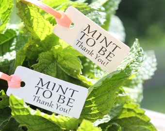 Mint za tag, dziękuję Tags, sprzyja ślub, Bridal Shower korzyść, sprzyja mennicy