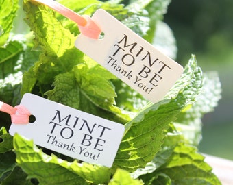 Mint to be favor tag, thank you tags, wedding favors, bridal shower favor, mint favors