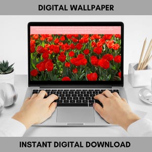 Red Tulips Digital Background, Inspiring Beauty for Your Screens, lock screen, Bible verse computer background for PC, laptop, MacbookPro
