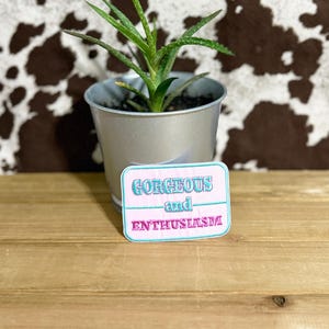 May include: A small potted aloe vera plant in a silver metal container. A rectangular patch with the words "GORGEOUS and ENTHUSIASM" in teal and pink is in front of the plant. The background is a brown and white cowhide pattern.