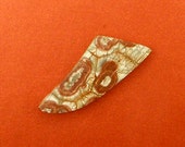 Birds Eye Rhyolite Cabochon Hand Cut Freeform Desingers Cabochon