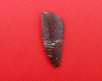 Natural Gemstone US Biggs Picture Jasper Cabochon Pair New 17x12x3mm 1.8g Y5947
