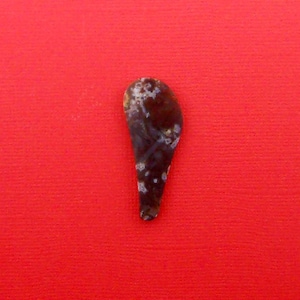 May include: A dark brown and gray, irregularly shaped, stone-like object with a pointed tip. The object is on a red background.