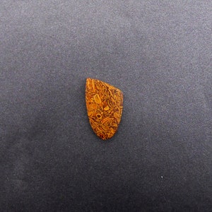 May include: A brown and orange patterned stone cabochon with a teardrop shape.