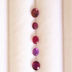 Op de afbeelding: Vijf ovale edelstenen in verschillende tinten rood en paars worden getoond tegen een witte achtergrond. De edelstenen variëren in kleur van een diep bordeauxrood tot een levendig paars, waarbij hun gepolijste oppervlakken en interne glans worden getoond.