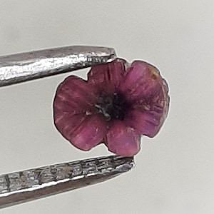 Puede incluir: Una pequeña gema en forma de flor, de color magenta oscuro, es sostenida por unas pinzas plateadas. La gema tiene una superficie rugosa y texturizada y un centro oscuro. Los pétalos de la flor están claramente definidos.