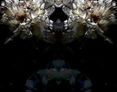 Abstract art. Photogrraphy