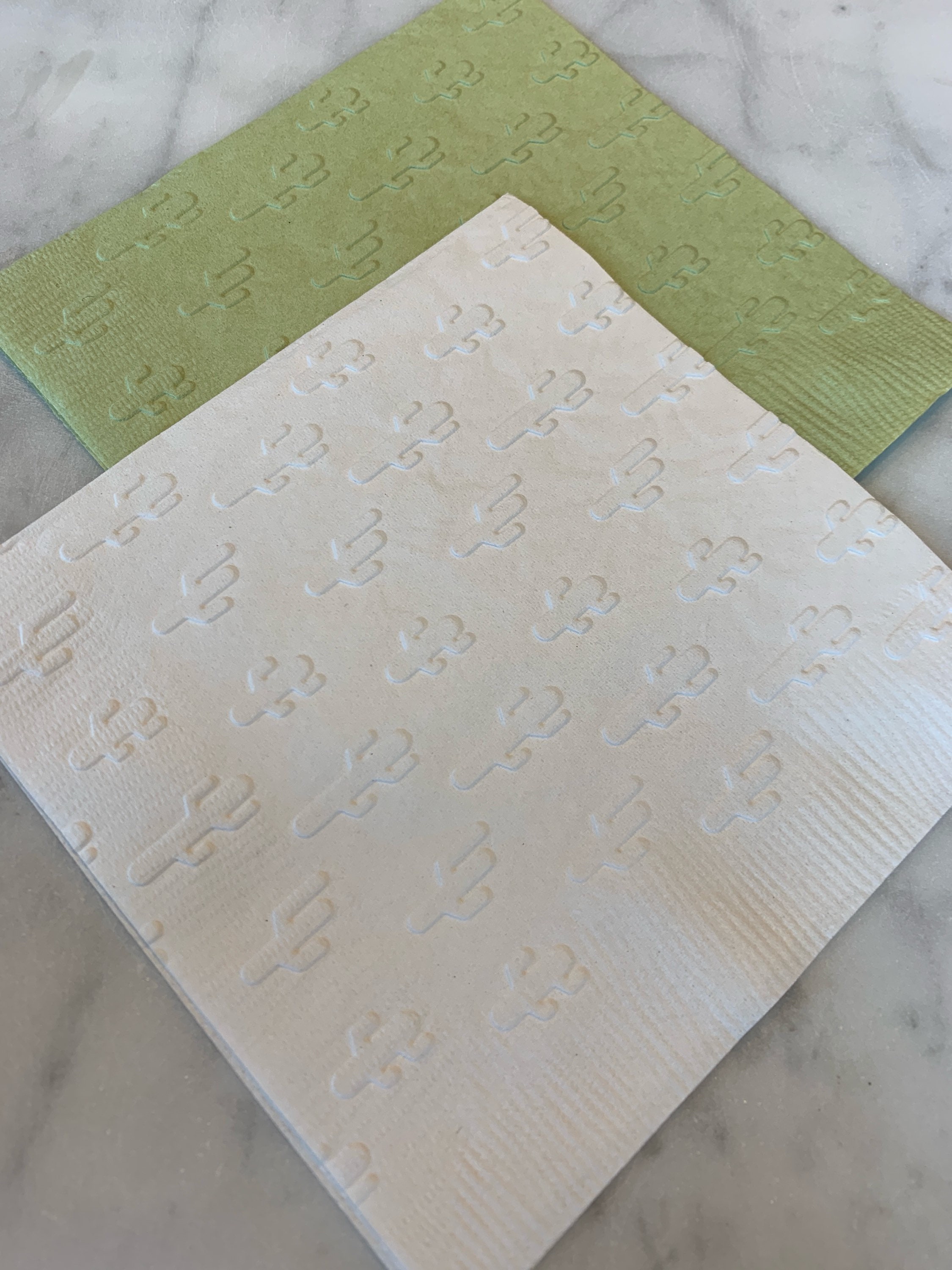 Mini CactusDesertFiestaTaco all over Hand Embossed BeverageCocktailDessert Napkins