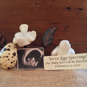 May include: A white ceramic bird figurine with a brown and white speckled quail egg, a black and white ultrasound image, and a sign that reads "We're Egg-Specting! Our Baby Girl will be hatching February 12, 2017".