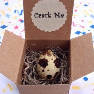 May include: A small, open cardboard box with a speckled egg nestled inside a bed of dried fibers. The box has a scalloped label that reads "Crack Me". The egg is beige with brown spots.