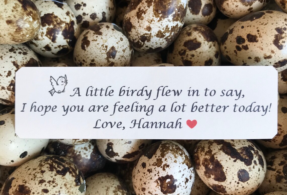 How To Donate Your Eggs And Get Paid