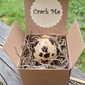 May include: A small, brown cardboard box with the words "Crack Me" on the lid. The box contains a speckled quail egg nestled in brown shredded paper.