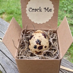 Crack Me! Pregnancy Announcement Quail Egg - The Special Note Is In The Egg!