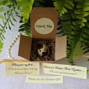 May include: A small brown box with a quail egg inside. The box has a tag that says "Crack Me". There are three cards with text that says "Please join my flock... I'd be honored if you'd be my Maid of Honor!"  "Birds of a Feather Flock Together... Please be my bridesmaid!!" and "Please be my Flower Girl".