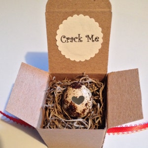 May include: A small, open cardboard box with a speckled egg nestled in straw. The egg has a heart-shaped cutout. The box lid has a white, scalloped circle with the words "Crack Me" in black text. A red ribbon is visible.
