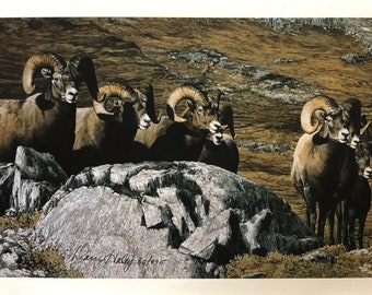 May include: A print depicting a group of bighorn sheep with large, curved horns. The sheep are in a mountainous landscape with rocky terrain and sparse vegetation. The artwork is signed in the lower left corner.