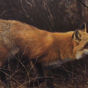 Robert Bateman On The Move Red Fox Print Collectible Limited Edition Signed and Numbered art Intelligent Hunter Can Escape Danger Sly