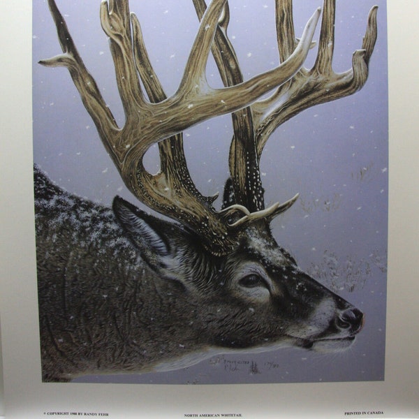 Randy FEHR " North American Whitetail " Limited Edition RARE Print Signed & Numbered art Certificate of Authenticity Mint condition Deer