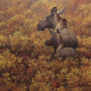Robert Bateman &quot; Fall Forage &quot; Moose Cow & Calf Print Collectible Limited Edition Signed and Numbered art Autumn Fall Colors Reds  Browns