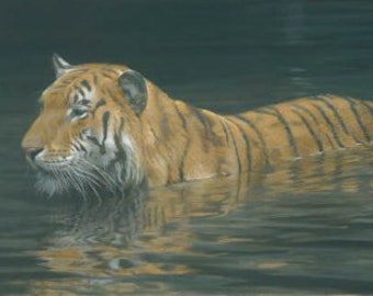 Robert Bateman River Ford – Tiger Giclee Canvas RARE Limited Edition Signed & Numbered art Jungle Cat