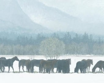 Robert Bateman Winter Gathering – Horse Herd Collectible Print Limited Edition Signed & Numbered art