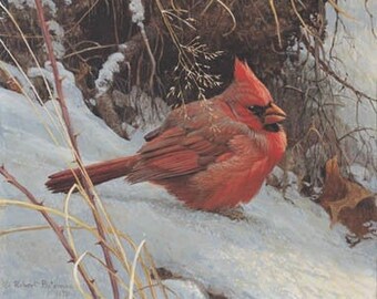 May include: A detailed painting of a red cardinal bird perched on a snow-covered branch. The bird has a prominent crest and is surrounded by dried grasses and a snowy background. The artwork captures the bird's vibrant plumage.