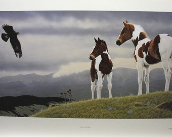 Glenn Olson "Wings and Wonder" Limited Edition Print Signed & Numbered art Certificate of Authenticity Mint condition Grand View Horses