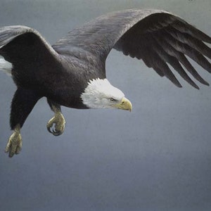 Robert BATEMAN Original LITHOGRAPH &quot;Approach&quot; Bald Eagle LTD Signed Numbered art hand coloured Eagle Attacking In flight Realism Wildlife