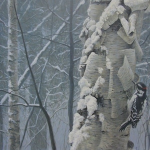 Può includere: Dipinto di una scena di foresta invernale innevata. Un picchio bianco e nero è appollaiato su un tronco di betulla. L'opera è firmata in basso a destra.