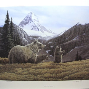 Puede incluir: Una impresión de una familia de osos pardos en un paisaje montañoso. Los osos están en un campo de hierba con una cordillera al fondo. La impresión está firmada por el artista y numerada 295/350.