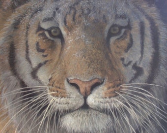 Robert Bateman Tiger at Dusk Giclee Canvas RARE Limited Edition Signed & Numbered art Jungle Cat Predator