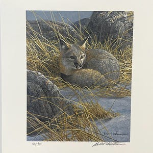 Robert Bateman &quot; Curled Up Swift Fox &quot; Limited Edition Signed & Numbered Print Rare and Collectible Canadian Wildlife Home Decor Wall ART