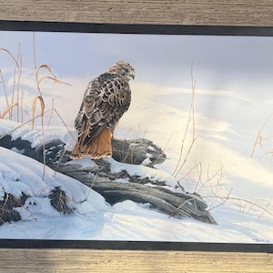 Michael JELL Original Painting &quot; Red Tailed Hawk &quot; Acrylic on board ART High realism Famous Artist RARE Wildlife Framed Bird Of Prey Painted