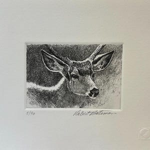 Robert Bateman &quot; Black Deer Tailed Head &quot; Limited Edition Etching Signed Numbered Art Rare Original Lithograph Hand Coloured Canadian Artist