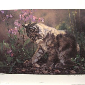 Maurade BAYNTON &quot; Bee-ware &quot;  Limited Edition Print Signed & Numbered art Bobcat Lynx includes Certificate of Authenticity Mint condition