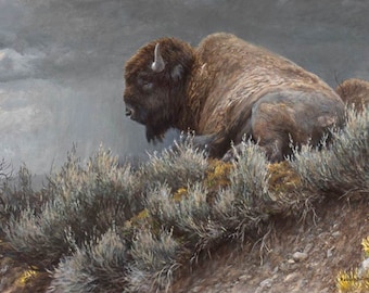 Robert Bateman Weather Watch Bison Giclee Canvas RARE Limited Edition Signed & Numbered art