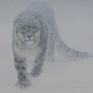 Può includere: Un dipinto di un leopardo delle nevi che cammina verso l'osservatore. Il grande felino ha un mantello grigio e bianco con macchie nere e occhi verdi. Lo sfondo è un morbido paesaggio innevato bianco.