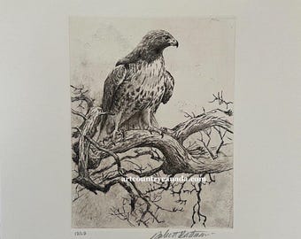 Robert Bateman " Red Tailed Hawk " Limited Edition Etching Signed Numbered Art Rare Original Lithograph Hand Coloured Bird Canadian Artist