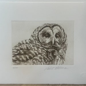 Robert BATEMAN &quot; Barred Owl &quot; Original LITHOGRAPH Etching art print 2 / 100 Limited Edition Signed & Numbered Collectible Rare Avian Bird