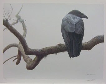 Robert Bateman Lone Raven Giclee Canvas RARE Limited Edition Signed & Numbered art Collectible Avian Bird Crow Omen